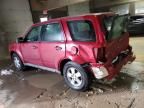 2010 Ford Escape XLS