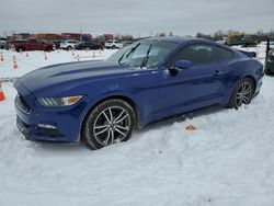 Salvage cars for sale at Columbus, OH auction: 2016 Ford Mustang