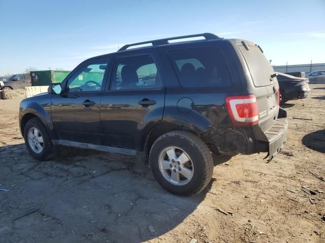 2012 Ford Escape XLT