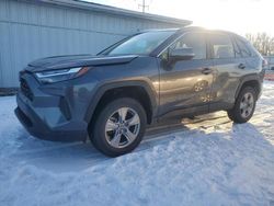 Toyota rav4 salvage cars for sale: 2022 Toyota Rav4 XLE