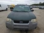 2001 Ford Escape XLT