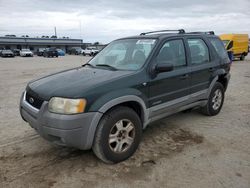 Ford Vehiculos salvage en venta: 2001 Ford Escape XLT