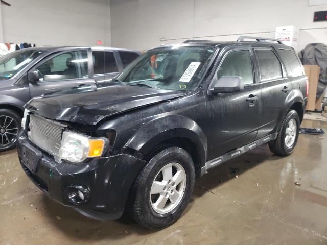 2010 Ford Escape XLT