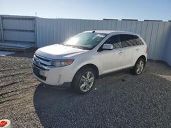 Ford salvage cars for sale: 2011 Ford Edge Limited