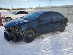 Salvage cars for sale at Ottawa, ON auction: 2019 Toyota Corolla L