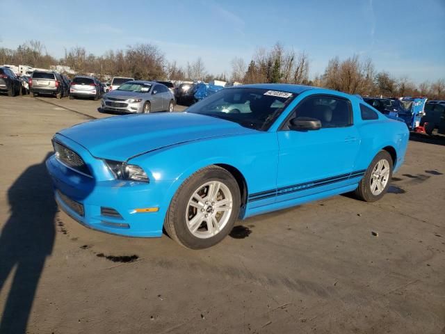 2013 Ford Mustang