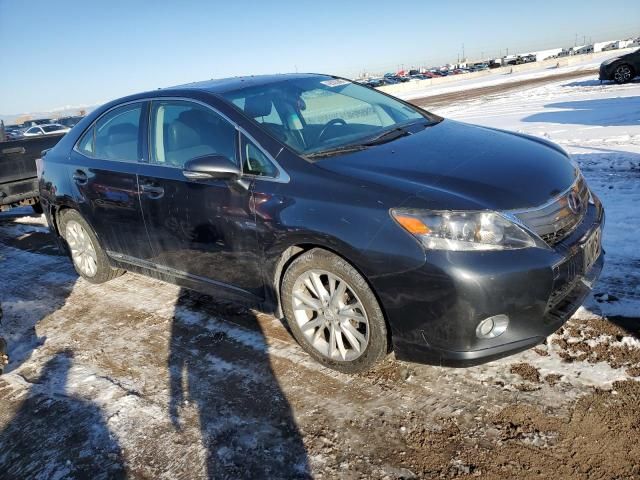 2010 Lexus HS 250H