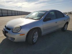 Dodge Neon salvage cars for sale: 2005 Dodge Neon SXT