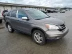 2010 Honda CR-V EXL