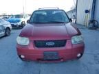 2007 Ford Escape Limited