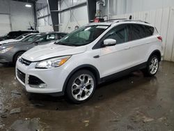 Salvage cars for sale at Ham Lake, MN auction: 2013 Ford Escape Titanium