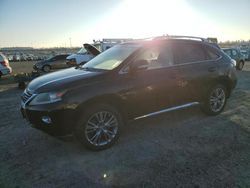 Lexus rx450 salvage cars for sale: 2013 Lexus RX 450H