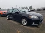 2013 Lexus ES 300H