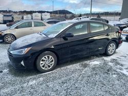 Salvage cars for sale at Cow Bay, NS auction: 2019 Hyundai Elantra SE