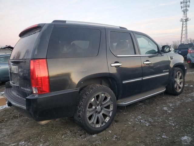 2011 Cadillac Escalade Luxury