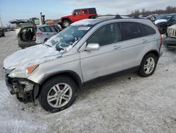 Honda salvage cars for sale: 2010 Honda CR-V EXL