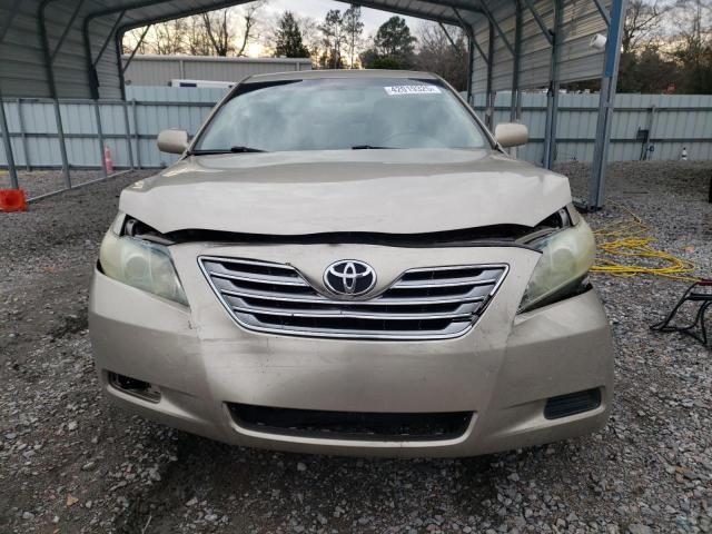 2009 Toyota Camry Hybrid