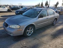 Carros salvage a la venta en subasta: 2000 Nissan Maxima GLE