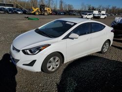 Salvage cars for sale at Portland, OR auction: 2016 Hyundai Elantra SE