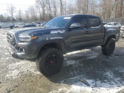 Toyota salvage cars for sale: 2023 Toyota Tacoma Double Cab