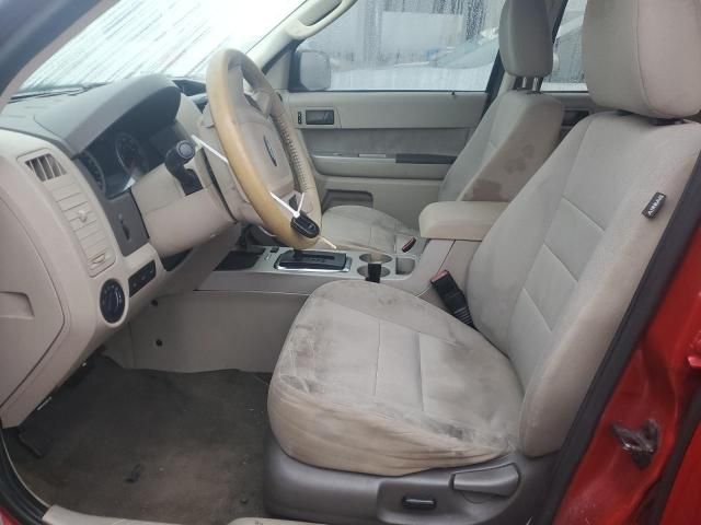 2011 Ford Escape XLT