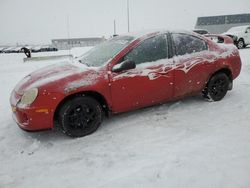 Salvage Cars with No Bids Yet For Sale at auction: 2005 Dodge Neon SXT