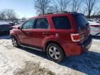 2008 Ford Escape XLT