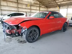 Lots with Bids for sale at auction: 2019 Ford Mustang