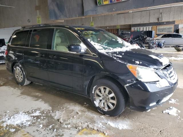 2008 Honda Odyssey EXL