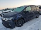 2019 Honda Odyssey EXL