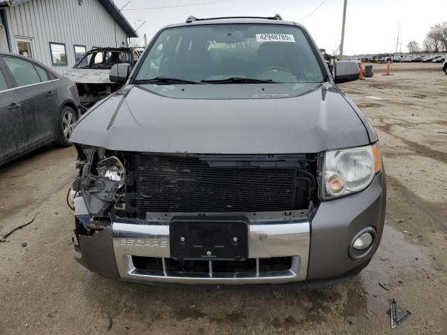 2011 Ford Escape Limited