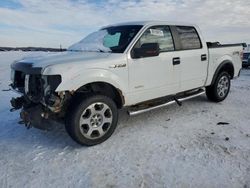 Ford f150 Supercrew salvage cars for sale: 2012 Ford F150 Supercrew