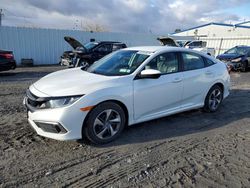 Honda Civic lx Vehiculos salvage en venta: 2020 Honda Civic LX