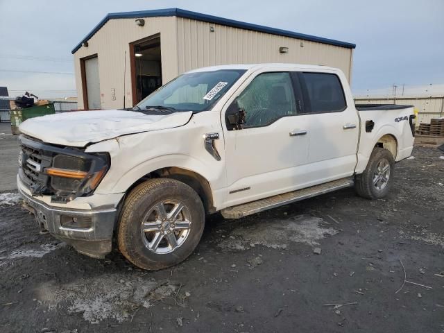 2024 Ford F150 XLT