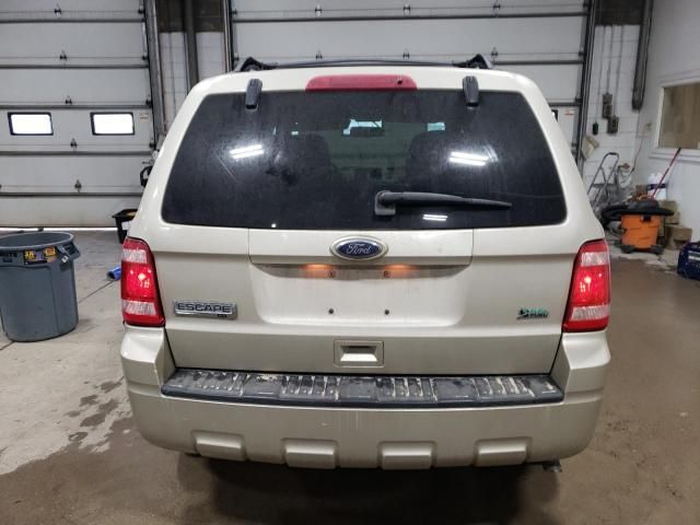 2010 Ford Escape XLT