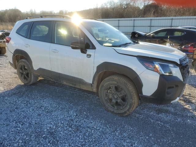 2023 Subaru Forester Wilderness