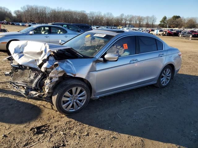 2011 Honda Accord EXL