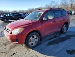 Salvage cars for sale at Ellwood City, PA auction: 2012 Toyota Rav4