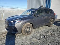 Salvage trucks for sale at Elmsdale, NS auction: 2023 Subaru Forester Premium