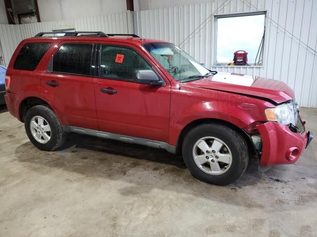 2011 Ford Escape XLT