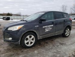 Salvage cars for sale at Columbia Station, OH auction: 2014 Ford Escape SE