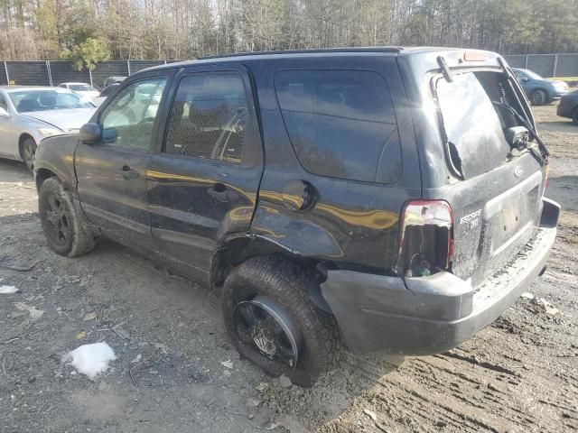 2004 Ford Escape XLT