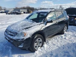 Toyota salvage cars for sale: 2011 Toyota Rav4