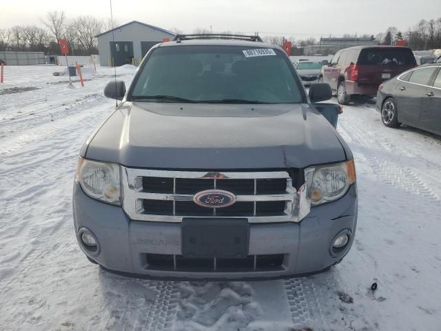 2008 Ford Escape XLT