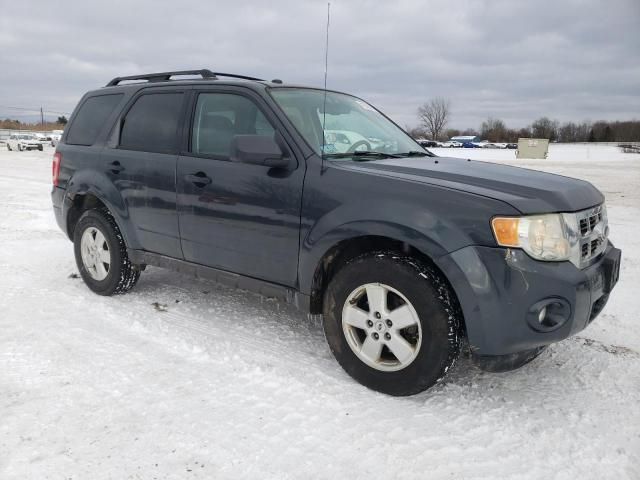 2009 Ford Escape XLT