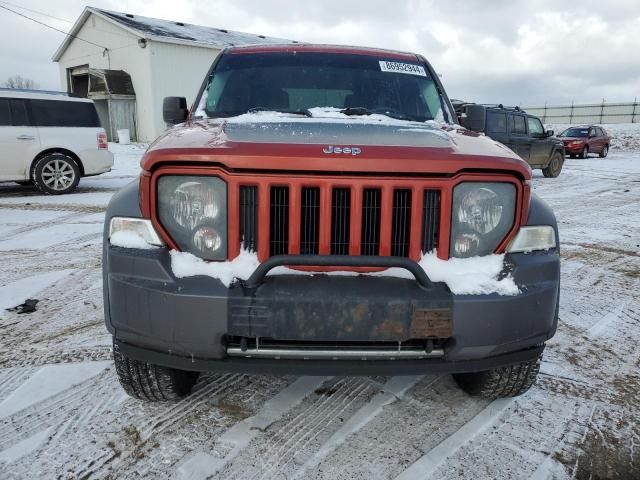 2010 Jeep Liberty Renegade