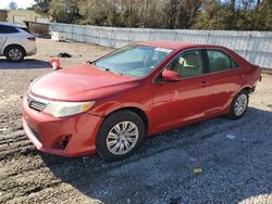 Salvage cars for sale at auction: 2013 Toyota Camry L