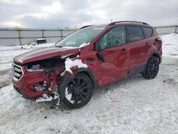 Ford Escape se salvage cars for sale: 2017 Ford Escape SE