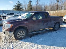 Ford salvage cars for sale: 2009 Ford F150 Super Cab