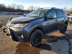 Salvage cars for sale at Marlboro, NY auction: 2013 Toyota Rav4 XLE